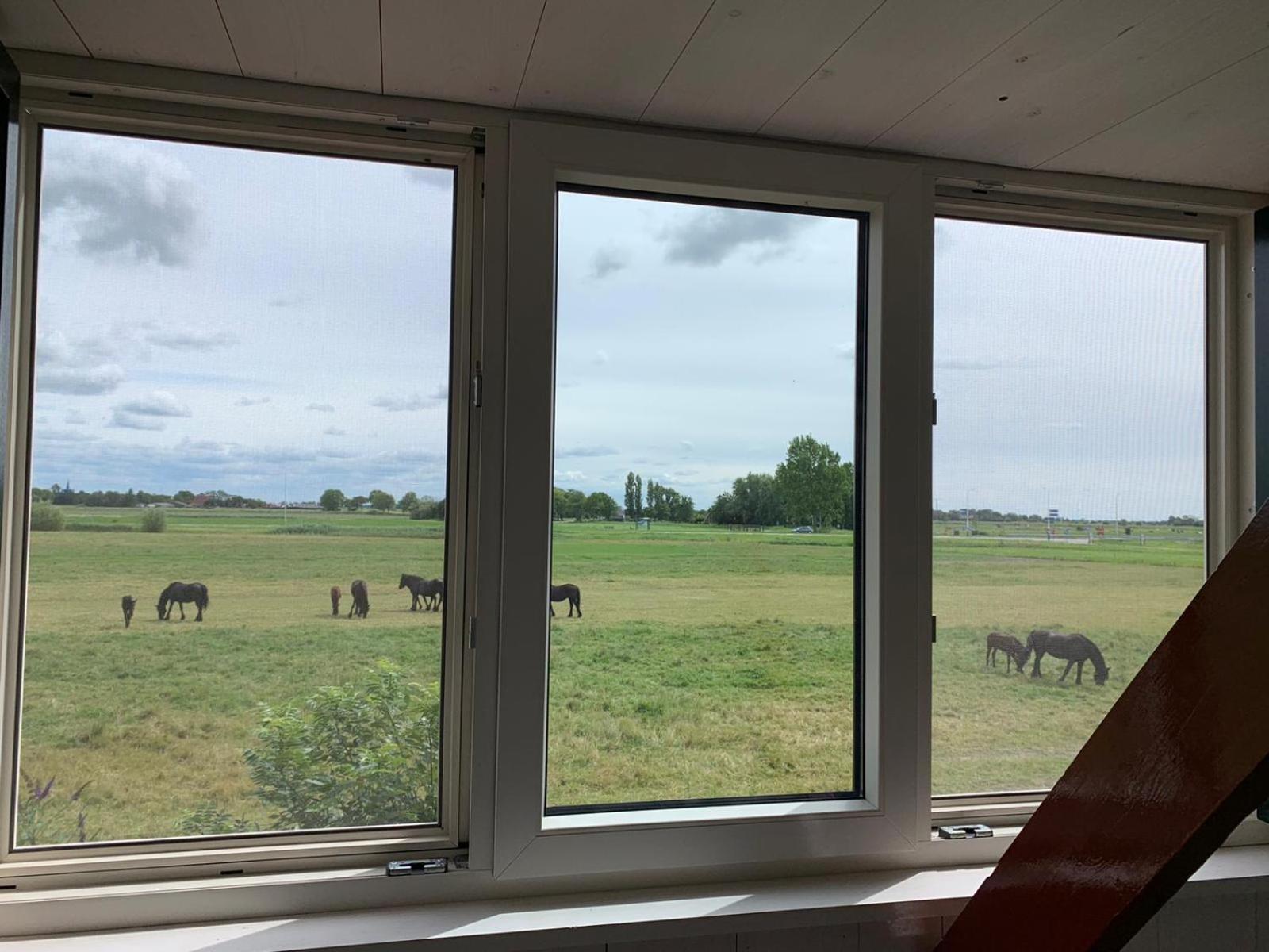 Vakantiehuis In Friesland Voor De Hele Familie Huns المظهر الخارجي الصورة