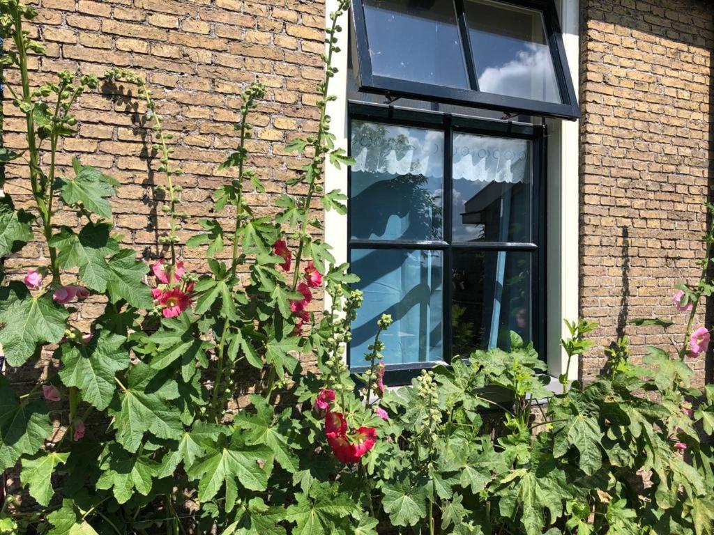 Vakantiehuis In Friesland Voor De Hele Familie Huns المظهر الخارجي الصورة